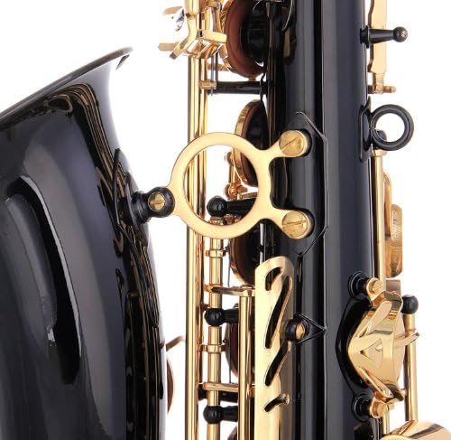 Glory Black Laquer E Flat Alto Saxophone with 11reeds, 8 Pads cushions, case, carekit