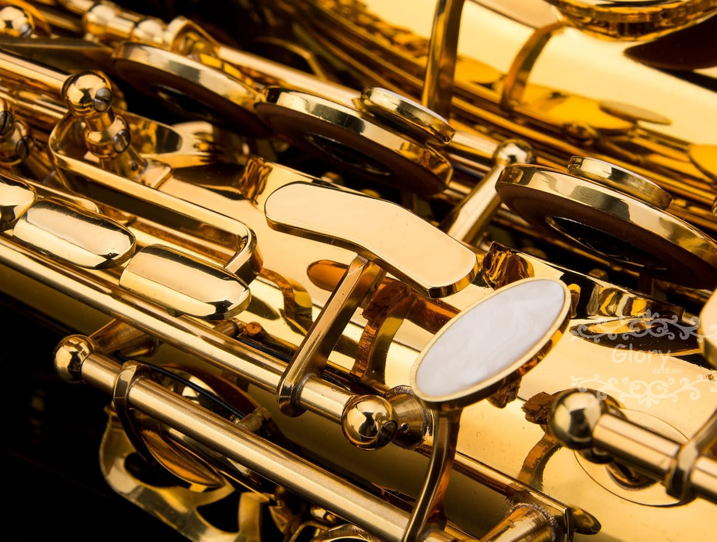 Glory Gold Laquer E Flat Alto Saxophone with 11 reeds, 8 Pads cushions, case, carekit