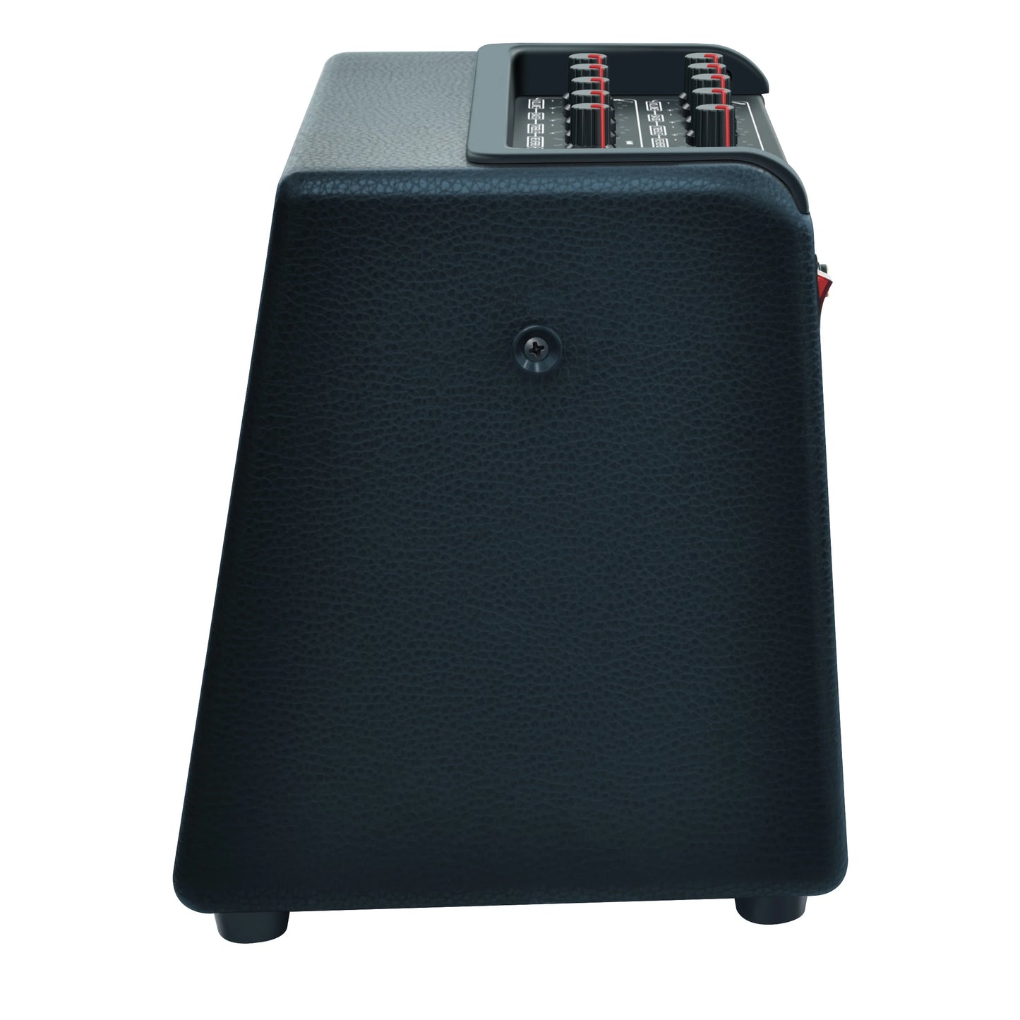 Rowin 30W Acoustic Guitar Amplifier Multi-Function OTG BT Guitar Rechargeable Amp Reverb Chorus Effects Microphone Inputs Aux In