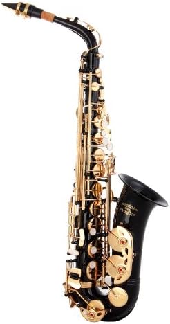 Glory Black Laquer E Flat Alto Saxophone with 11reeds, 8 Pads cushions, case, carekit