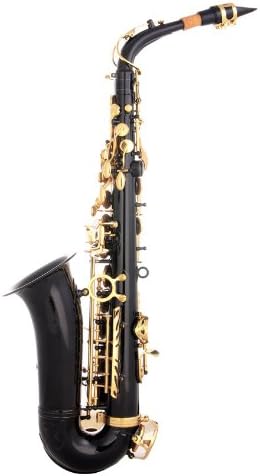 Glory Black Laquer E Flat Alto Saxophone with 11reeds, 8 Pads cushions, case, carekit