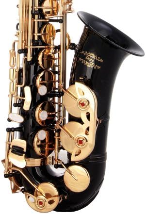 Glory Black Laquer E Flat Alto Saxophone with 11reeds, 8 Pads cushions, case, carekit