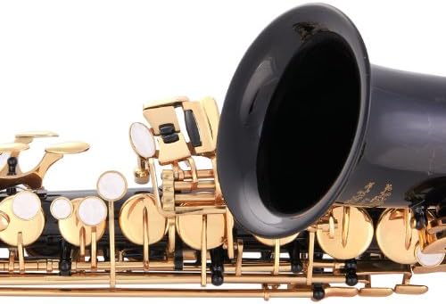 Glory Black Laquer E Flat Alto Saxophone with 11reeds, 8 Pads cushions, case, carekit