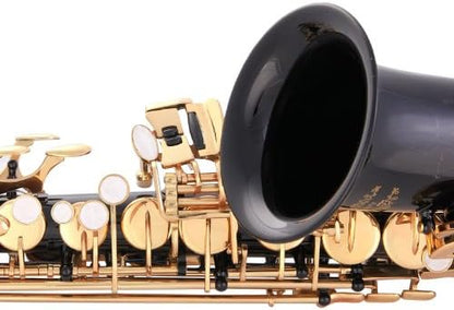Glory Black Laquer E Flat Alto Saxophone with 11reeds, 8 Pads cushions, case, carekit