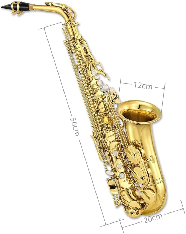 Yinfente Eb Alto Saxophone For Beginners Adult, Saxophone Student, E Flat Alto Sax Full Kit
