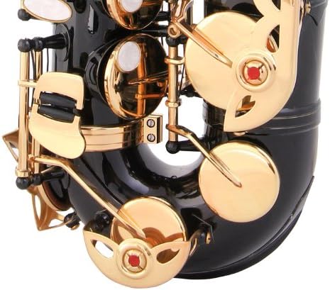 Glory Black Laquer E Flat Alto Saxophone with 11reeds, 8 Pads cushions, case, carekit
