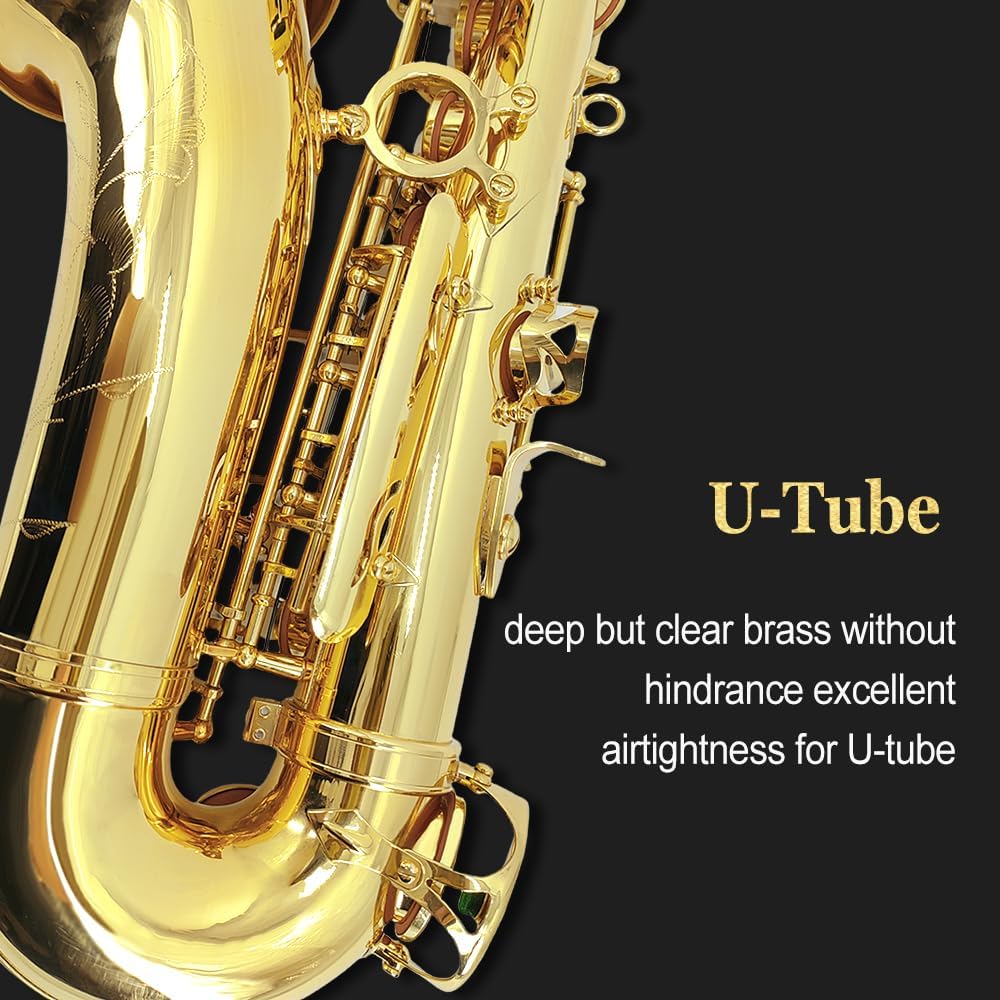 Yinfente Eb Alto Saxophone For Beginners Adult, Saxophone Student, E Flat Alto Sax Full Kit