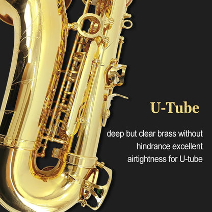 Yinfente Eb Alto Saxophone For Beginners Adult, Saxophone Student, E Flat Alto Sax Full Kit