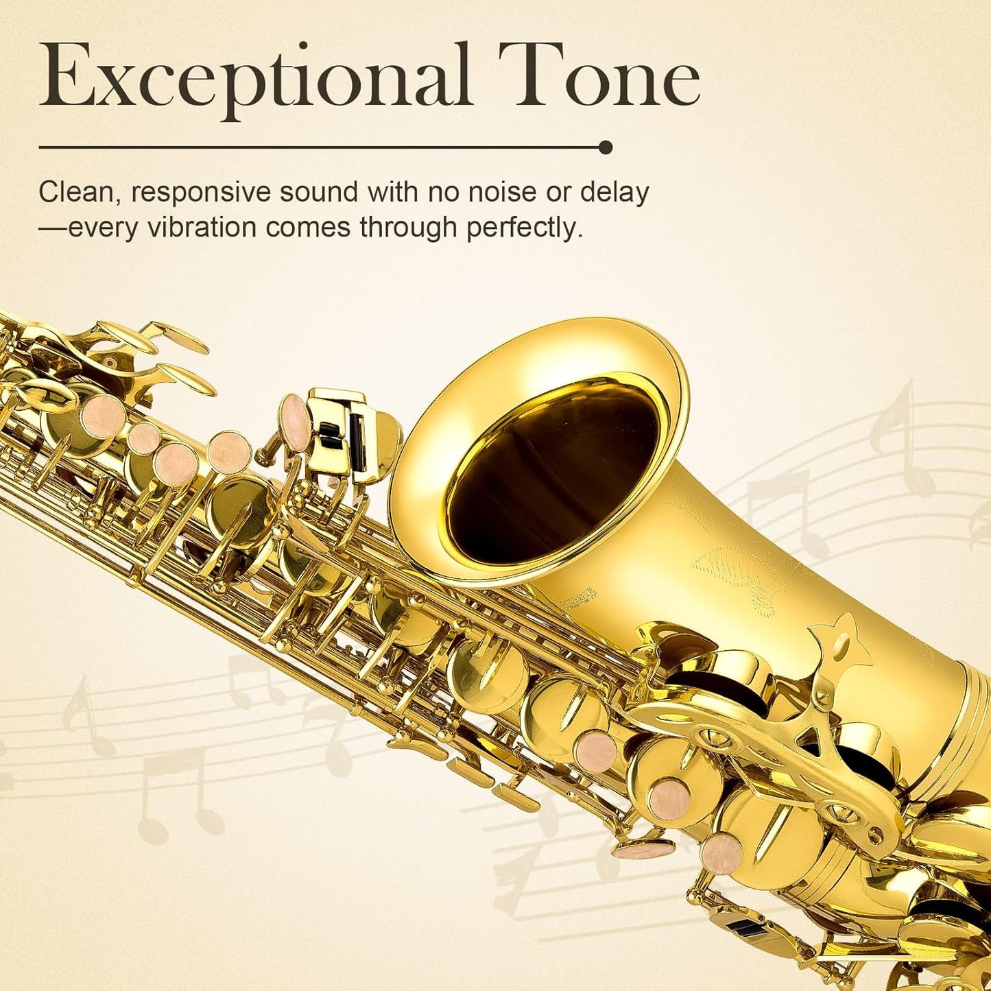 SONICAKE Alto Saxophone E Flat - Beginner Friendly Gold Saxophone Full Kit for Students with Carry Case, Mouthpiece, Reeds & Accessories QSX-01