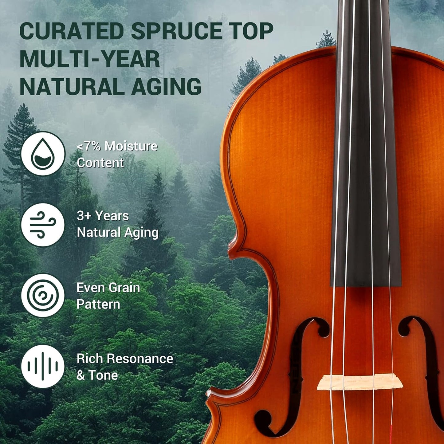 MOSEN 4/4 Violin Fiddle Full Size, Maple Violin Kit Set for Beginners with Hard Case, Bow, Rosin, Shoulder Rest, Tuner, Solid Maple Wood and Ebony Fittings, MS-836M
