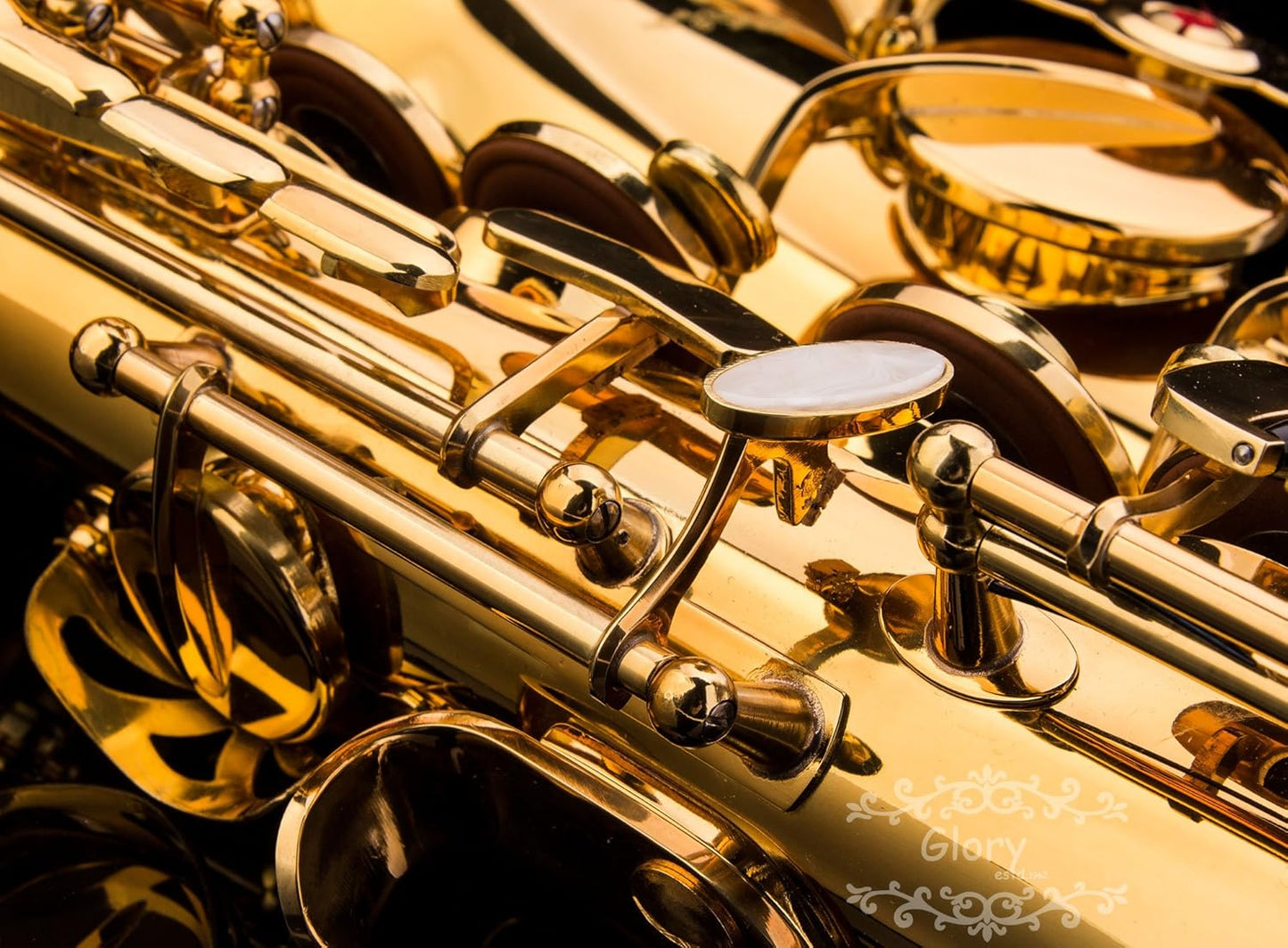 Glory Gold Laquer E Flat Alto Saxophone with 11 reeds, 8 Pads cushions, case, carekit