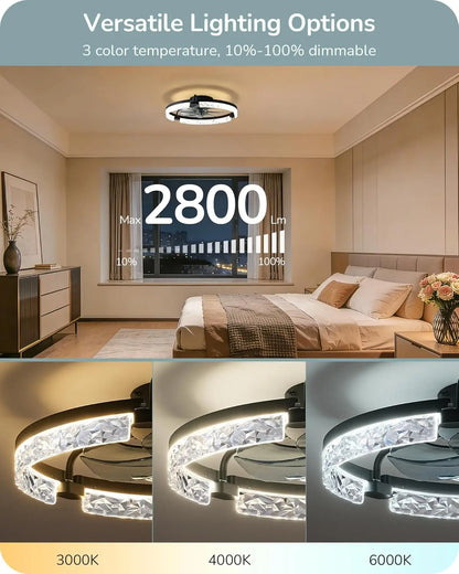 20" Low Profile Ceiling Fan with Lights and Remote, 6 Speeds Dimmable LED, DC Motor, APP Control, Black for Bedroom Kitchen
